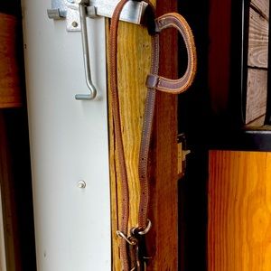 Simple One Ear Headstall